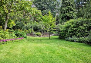 Optimiser l'expérience du jardin à Vernou-en-Sologne